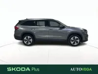 Usata Skoda Kodiaq Executive 150 CV (110 kW) 2025 Grigio pastello SUV