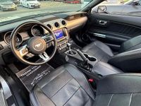 Usata Ford Mustang Premium 290 CV (213 kW) 2020 Cabrio