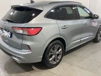 usata Ford Kuga 2.5 Plug In Hybrid 225 CV CVT 2WD ST-L