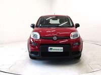 Usata Fiat Panda 69 CV (50 kW) 2024 Rosso Utilitaria