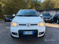 Usata Fiat Panda 4x4 Climbing 75 CV (55 kW) 2012 Bianco Utilitaria