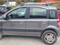 Usata Fiat Panda 4x4 Climbing 75 CV (55 kW) 2013 Grigio Utilitaria