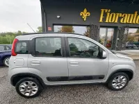 Usata Fiat Panda 4x4 Trekking 85 CV (62 kW) 2012 Grigio Utilitaria