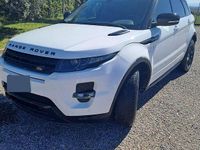 Usata Land Rover Range Rover evoque 190 CV (139 kW) 2013 Bianco SUV