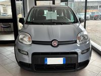 Usata Fiat Panda City Life 70 CV (51 kW) 2023 Grigio Utilitaria