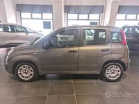 Usata Fiat Panda 70 CV (51 kW) 2022 Grigio Utilitaria
