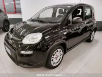 Usata Fiat Panda 69 CV (50 kW) 2023 Nero Utilitaria
