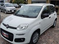 Usata Fiat Panda Lounge 69 CV (50 kW) 2015 Bianco Utilitaria