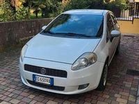 Usata Fiat Punto Active 69 CV (50 kW) 2011 Bianco Berlina