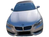 Usata BMW 220 Luxury Line 190 CV (139 kW) 2015 Grigio Cabrio