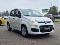 Nuova Fiat Panda Icon 69 CV (50 kW) 2025 Bianco gelato Utilitaria