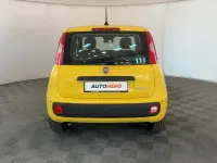 Usata Fiat Panda 69 CV (50 kW) 2025 Giallo Utilitaria