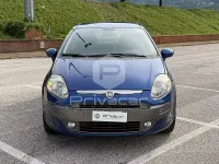 Usata Fiat Punto Evo Active 77 CV (56 kW) 2010 Blu Utilitaria