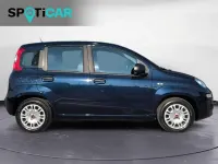 Usata Fiat Panda Easy 70 CV (51 kW) 2020 Blu Utilitaria