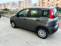 usata Fiat Panda PandaIII 2016 1.2 Easy s