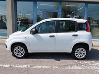 Usata Fiat Panda Easy 71 CV (52 kW) 2018 Bianco Utilitaria