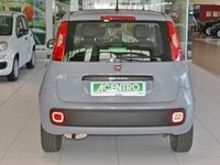 usata Fiat Panda PANDA -Serie 3 1.2 69cv S&S EASY Euro 6d-Temp