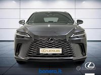 Usata Lexus RX350h Executive Line 250 CV (183 kW) 2024 Grigio SUV