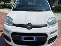Usata Fiat Panda Easy 75 CV (55 kW) 2013 Bianco Utilitaria