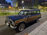 Usata Jeep Wagoneer 1984 Blu