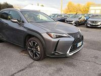 Usata Lexus UX 250h 184 CV (135 kW) 2021 Grigio SUV