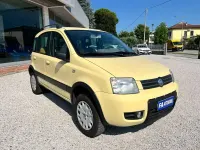 Usata Fiat Panda 4x4 Climbing 60 CV (44 kW) 2006 Giallo Utilitaria