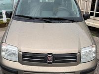Usata Fiat Panda 60 CV (44 kW) 2009 Marrone Utilitaria