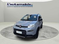 Usata Fiat Panda 4x4 S 86 CV (63 kW) 2019 Grigio Utilitaria