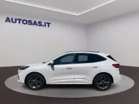 Usata Ford Kuga ST-Line 190 CV (139 kW) 2023 Bianco SUV