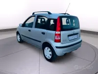 Usata Fiat Panda 54 CV (39 kW) 2010 Grigio Utilitaria