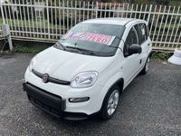 usata Fiat Panda 1.0 FIRE FLY HYBRID PACK CITY