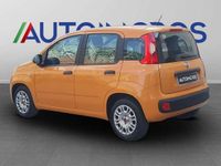 Usata Fiat Panda S 70 CV (51 kW) 2022 Arancione Utilitaria