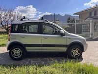 Usata Fiat Panda 4x4 69 CV (50 kW) 2010 Argento Utilitaria