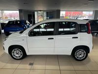 usata Fiat Panda 3ª serie 1.2 Easy