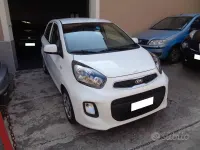 Gebraucht Kia Picanto Active 67 PS (49 kW) 2016 Weiß Kleinwagen