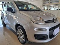 Usata Fiat Panda Easy 69 CV (50 kW) 2020 Grigio Utilitaria