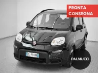 Usata Fiat Panda Cross Cross 69 CV (50 kW) 2022 Other Utilitaria