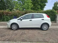 Usata Fiat Punto Pop 69 CV (50 kW) 2015 Bianco Utilitaria