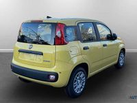 Nuova Fiat Panda Icon 65 CV (47 kW) 2026 Giallo biricchino Utilitaria