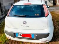 Usata Fiat Punto 2010 Bianco Utilitaria