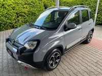 Usata Fiat Panda Cross Cross 69 CV (50 kW) 2022 Grigio Utilitaria