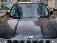 usata Jeep Renegade Renegade 1.6 Mjt 120 CV Longitude