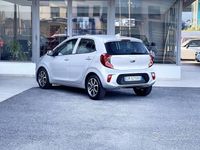 Usata Kia Picanto 67 CV (49 kW) 2023 Grigio Utilitaria