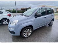 Usata Fiat Panda Easy 86 CV (63 kW) 2018 Grigio Berlina