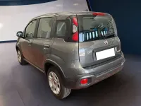 Usata Fiat Panda Cross Cross 69 CV (50 kW) 2022 Grigio Utilitaria