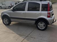 Usata Fiat Panda 4x4 69 CV (50 kW) 2007 Grigio Utilitaria
