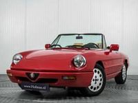 Usata Alfa Romeo Spider 117 CV (86 kW) 1991 Rosso Cabrio