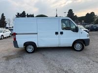 Usata Fiat Ducato 1999 Furgone