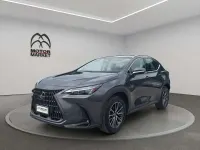 Usata Lexus NX200t Business Edition 243 CV (178 kW) 2023 Grigio / gray SUV