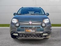 Usata Fiat Panda 70 CV (51 kW) 2025 Verde foresta (metallizzato) Utilitaria